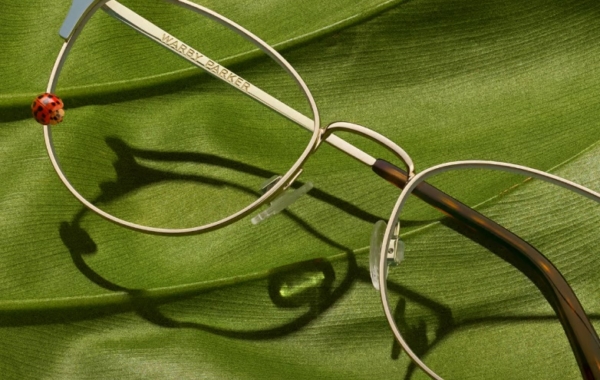 pair of eyeglasses on a leaf